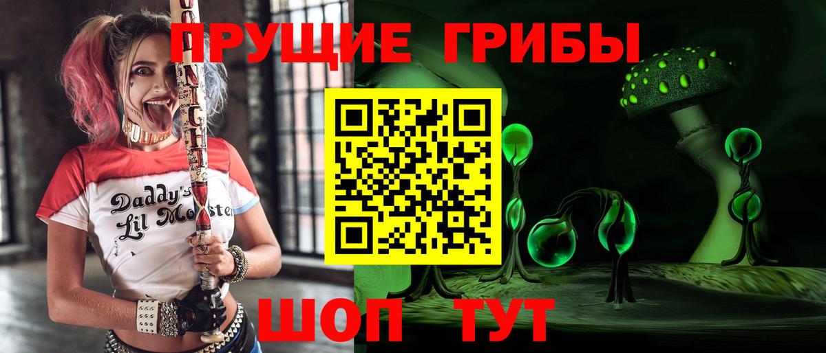 Галлюциногенные грибы MAGIC MUSHROOMS Каменск-Шахтинский