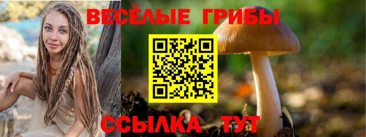 Галлюциногенные грибы Psilocybe  Вход с VPN  Каменск-Шахтинский 